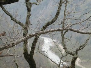 Экскурсия "Плато Калежтам"