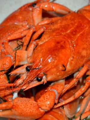 Раки вареные