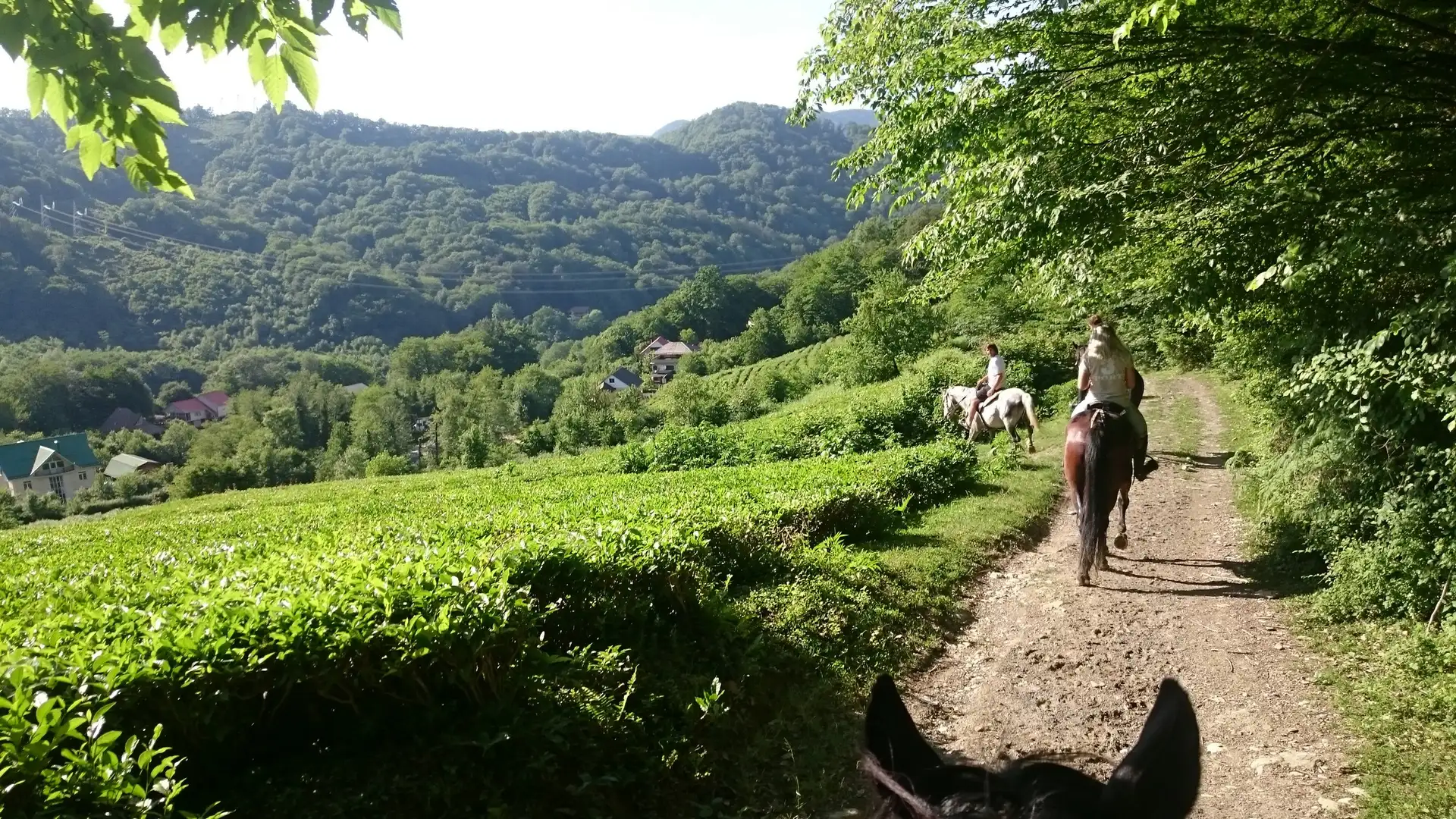 5abe3b94-5909-4022-8114-6a1e2e3cde29